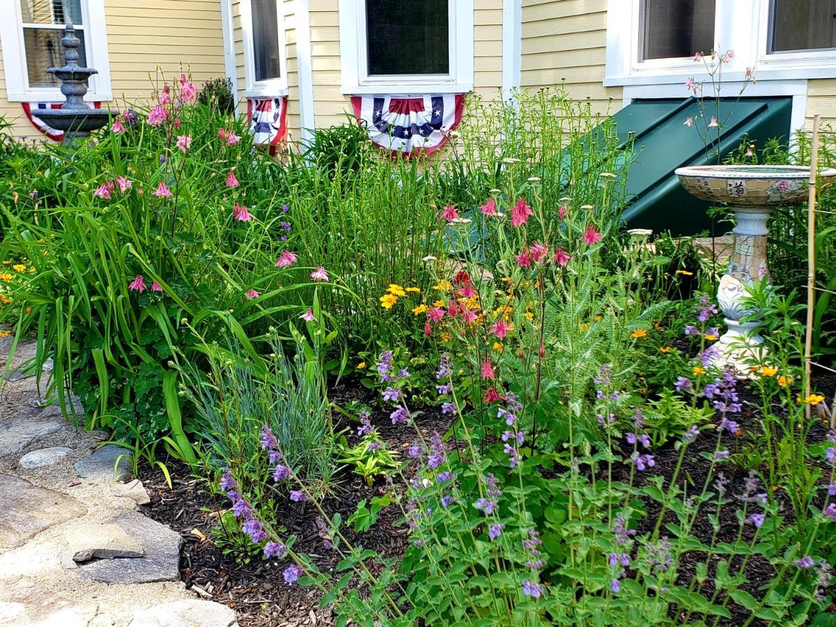 Elmere House Bed & Breakfast 웰즈 외부 사진