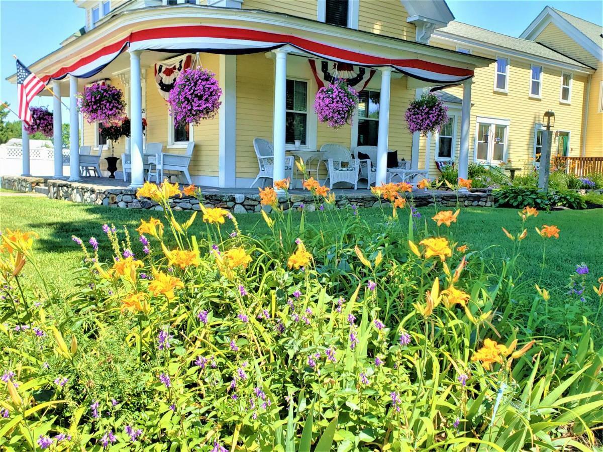 Elmere House Bed & Breakfast 웰즈 외부 사진